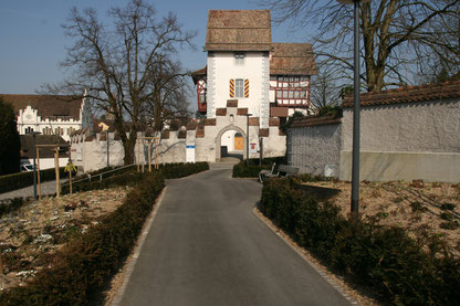 Burg-Zug-2014.jpg